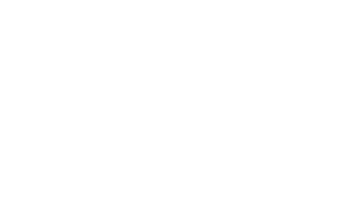 アレグリア・フラメンコ（Alegria Flamenco）