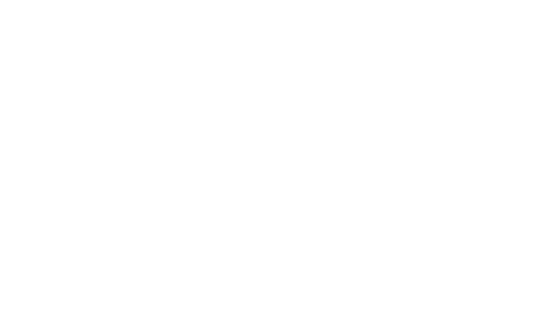 アレグリア・フラメンコ（Alegria Flamenco）